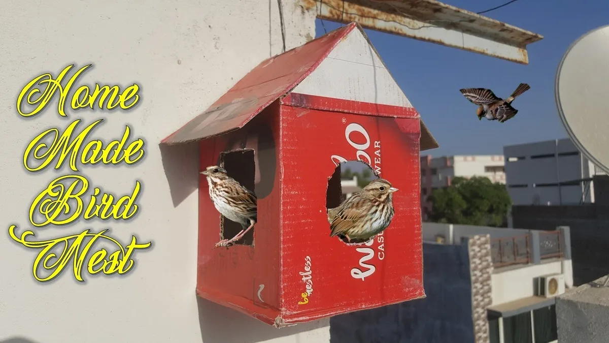makeshift nest for baby robin