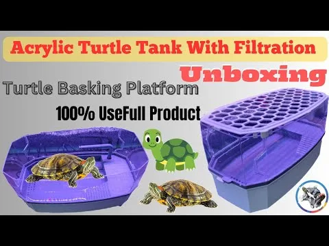 turtle tank setup