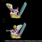 when can babies face forward in car