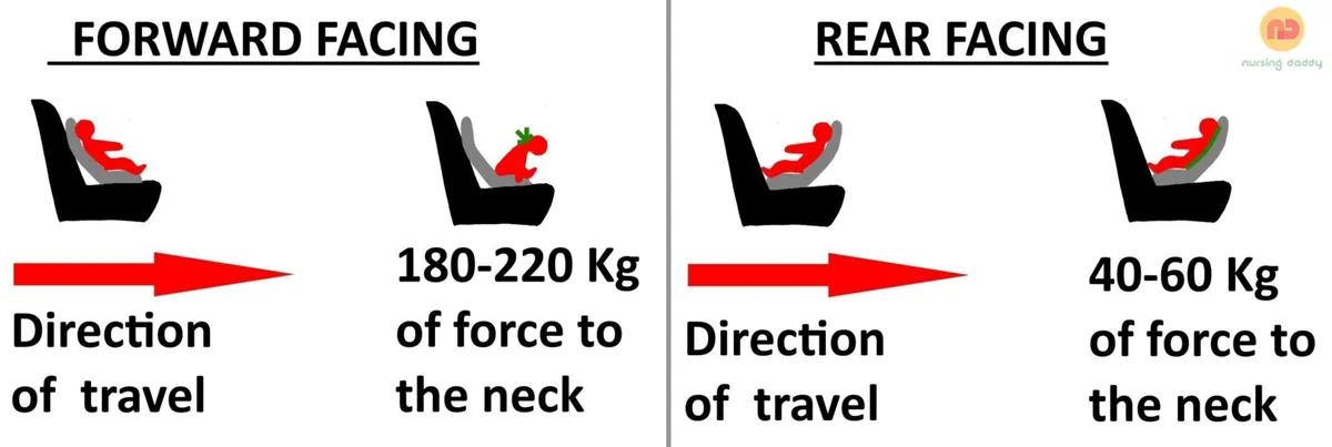 rear-facing protects neck and spine
